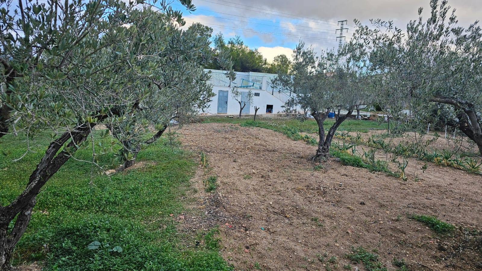 Castalla, propiedad única con dos viviendas en una parcela de 2.600 m²
