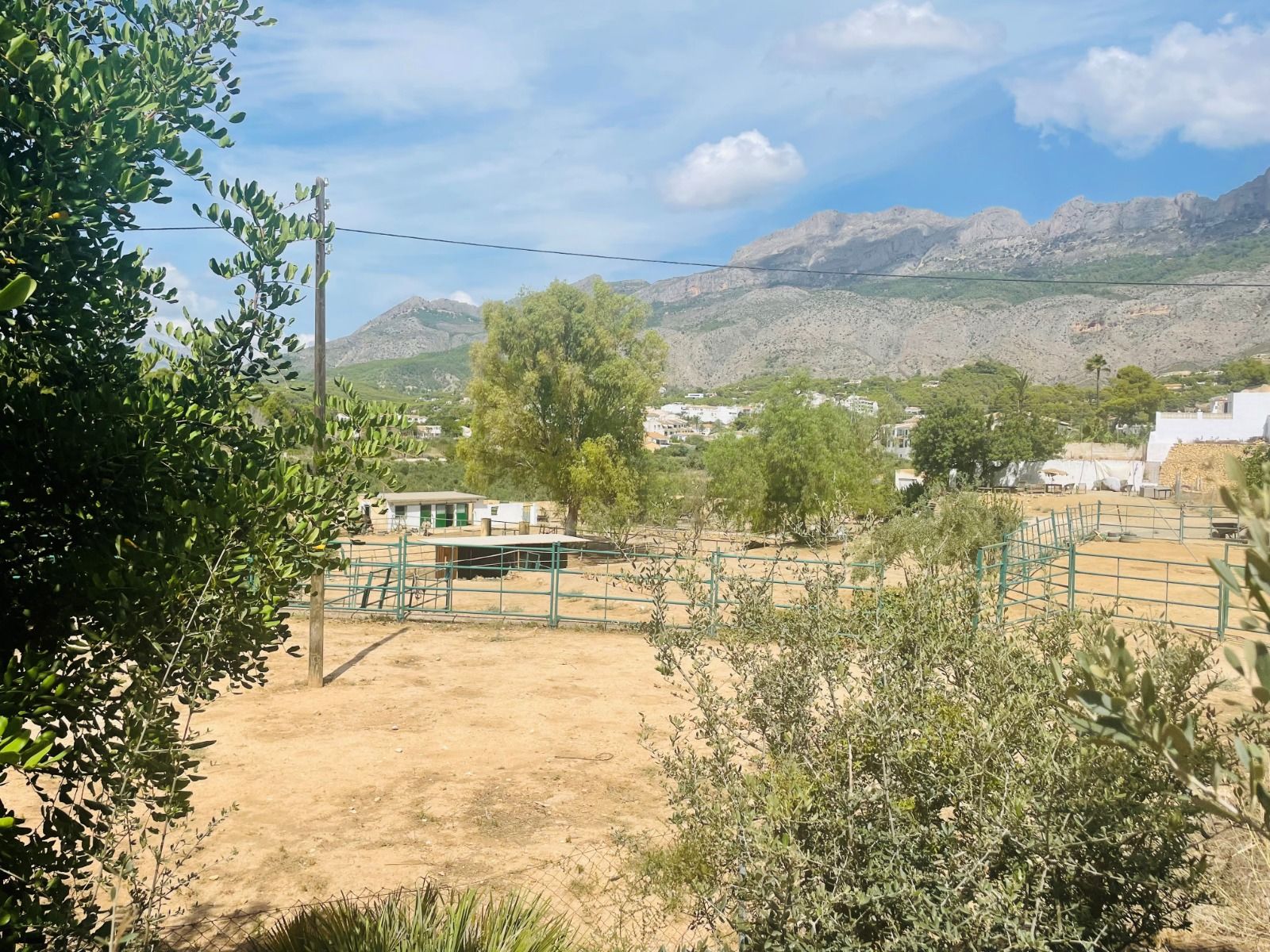 Parcela rústica 10.000m² con licencia en Altea