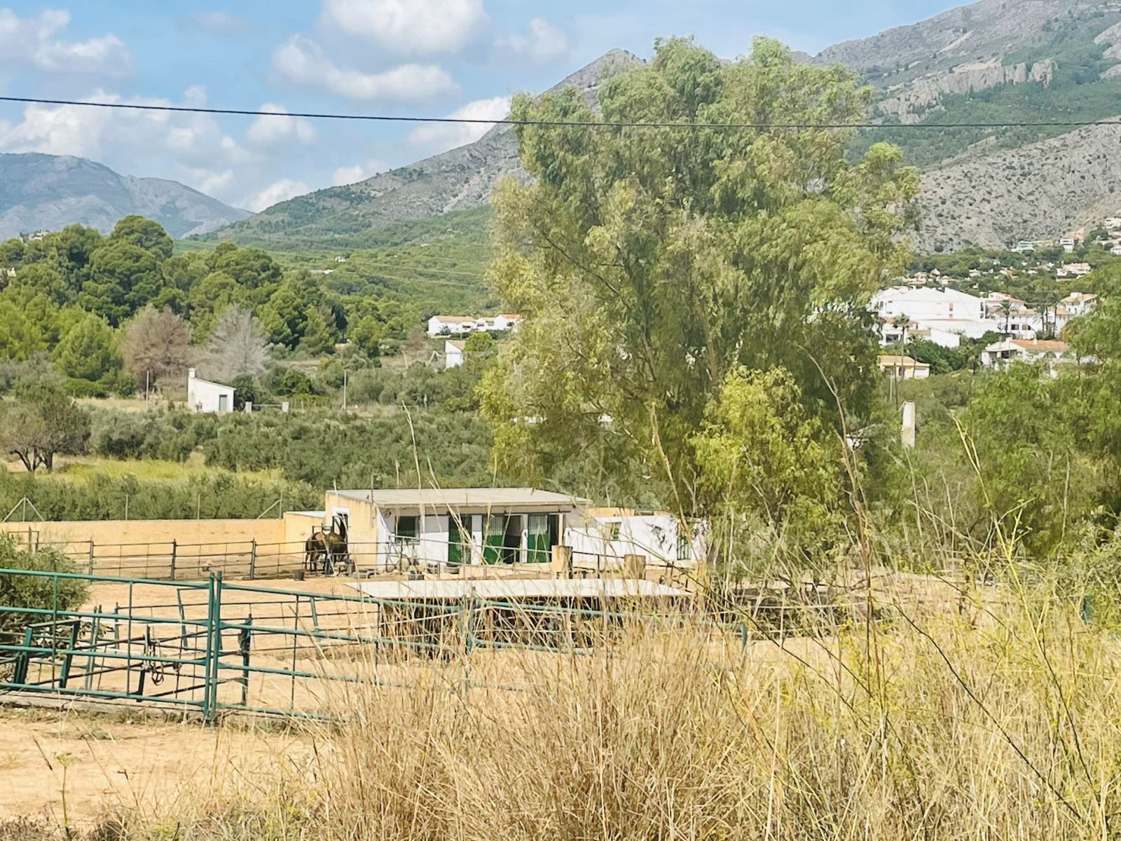 Parcela rústica 10.000m² con licencia en Altea