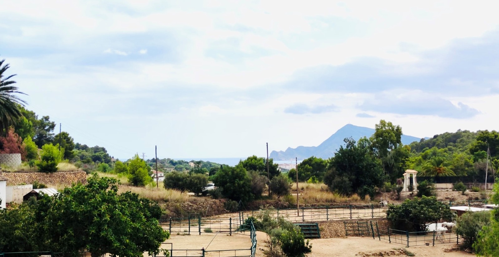 Parcela rústica 10.000m² con licencia en Altea