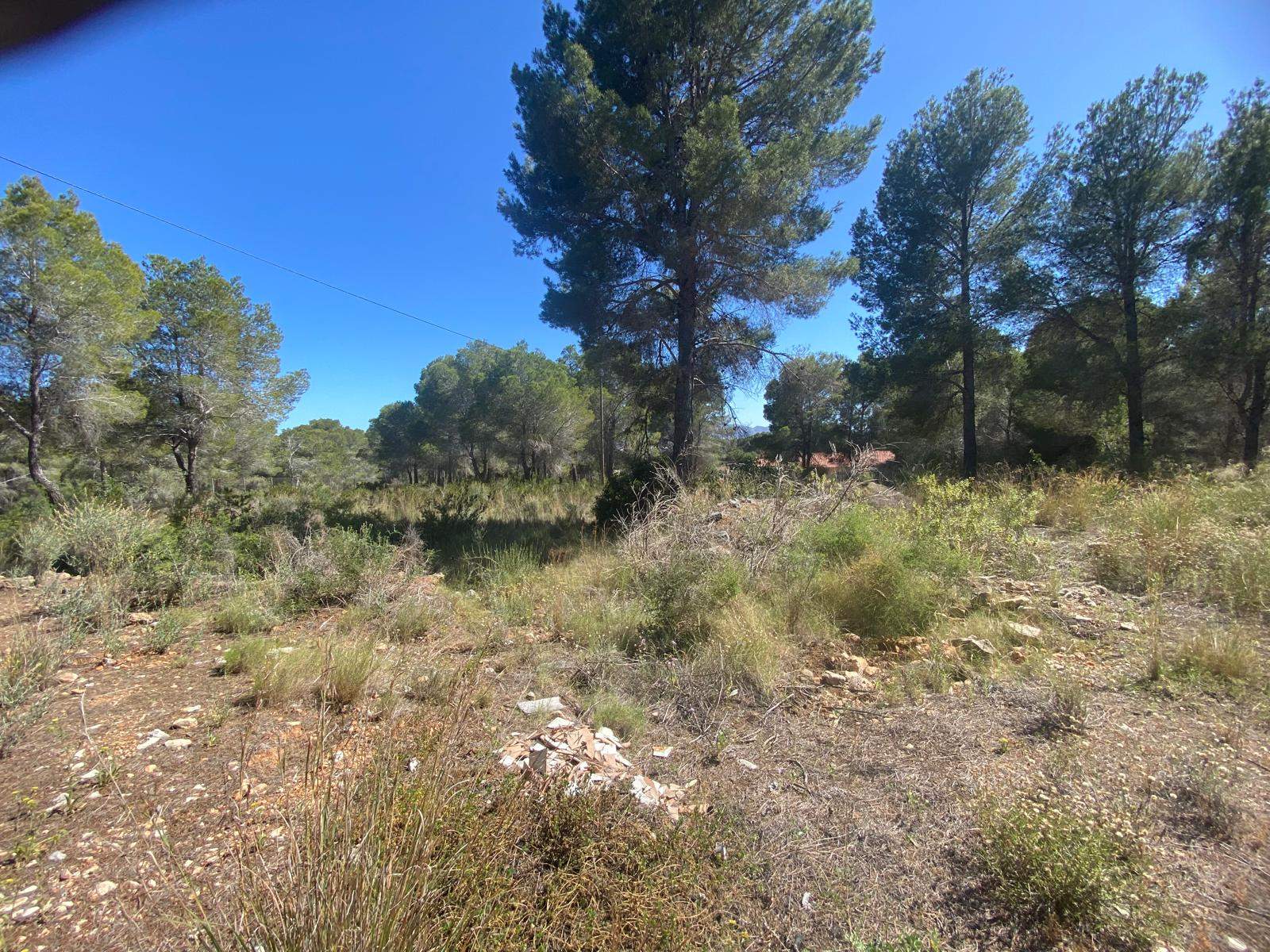 Parcela edificable única de 10.491 m² en Altea la Vella