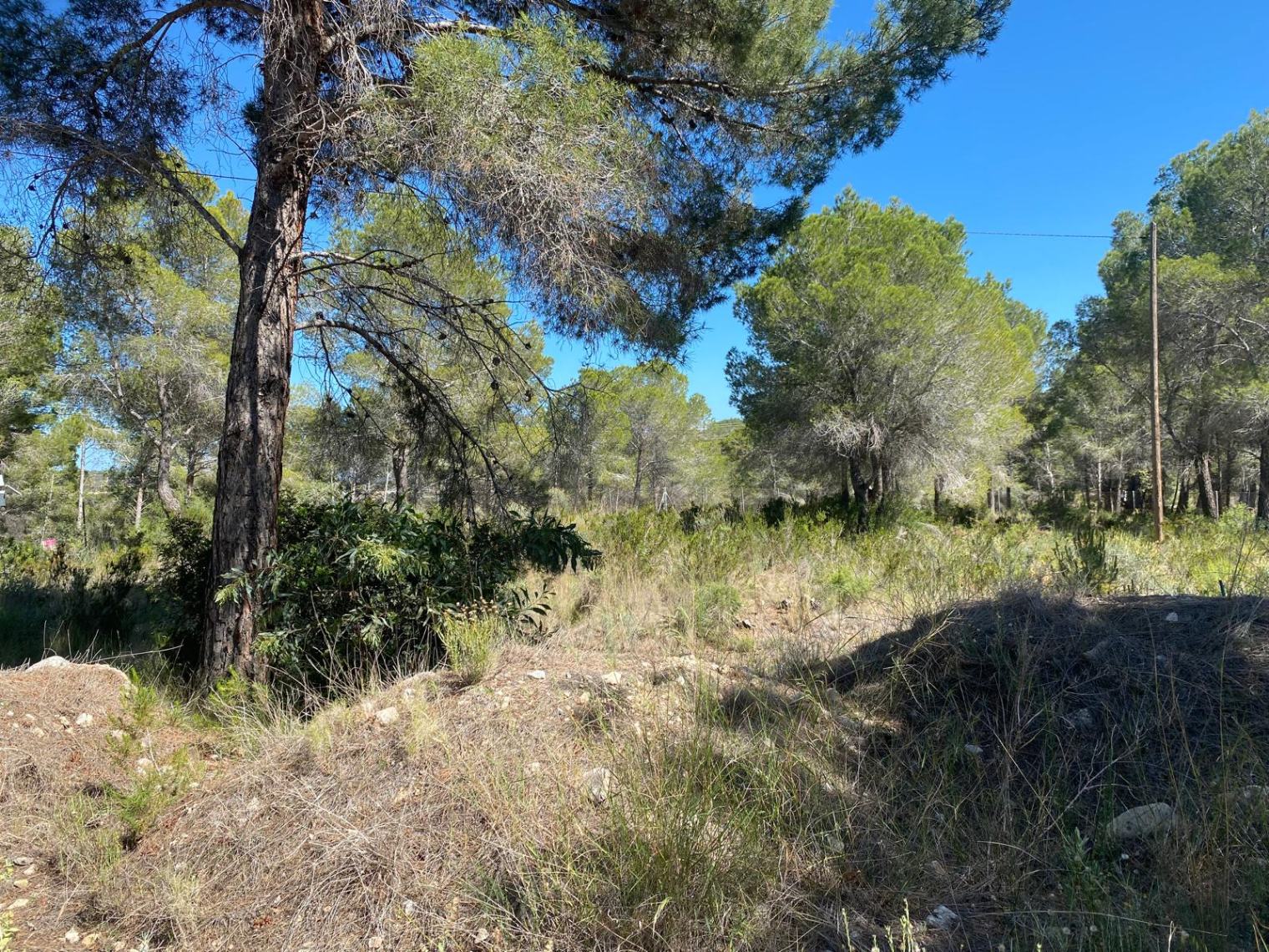 Parcela edificable única de 10.491 m² en Altea la Vella