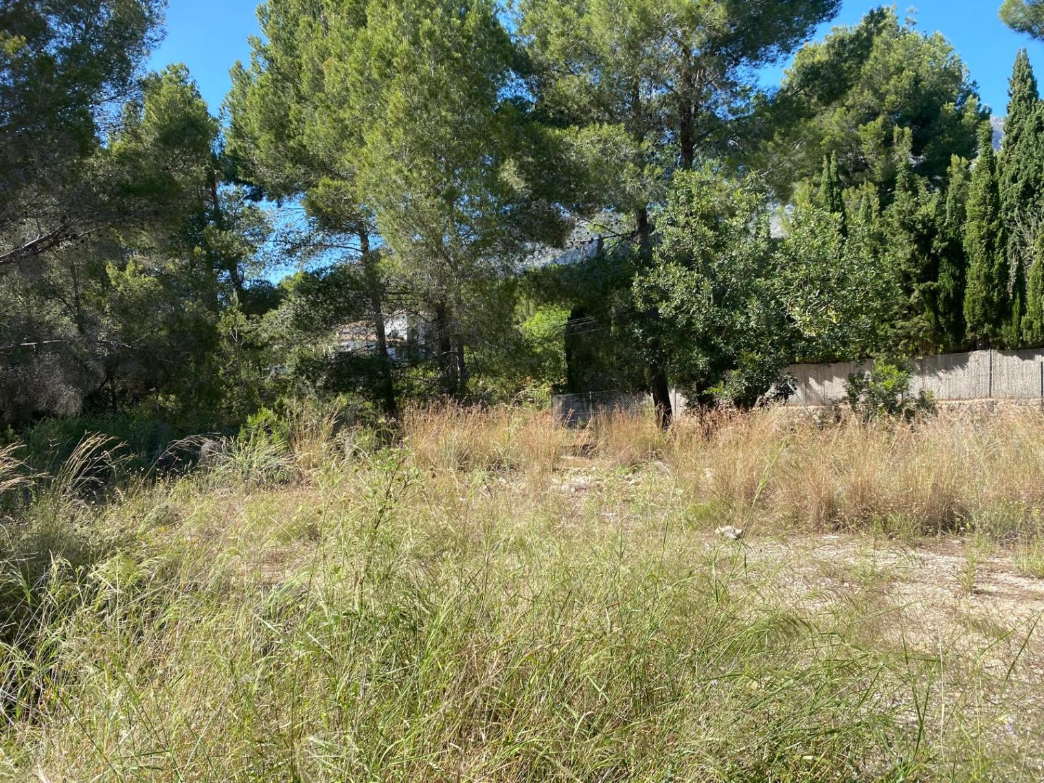 Parcela edificable única de 10.491 m² en Altea la Vella