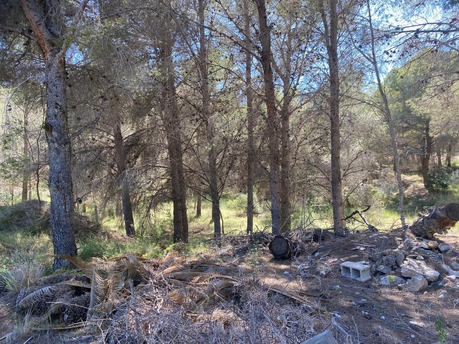Parcela edificable única de 10.491 m² en Altea la Vella