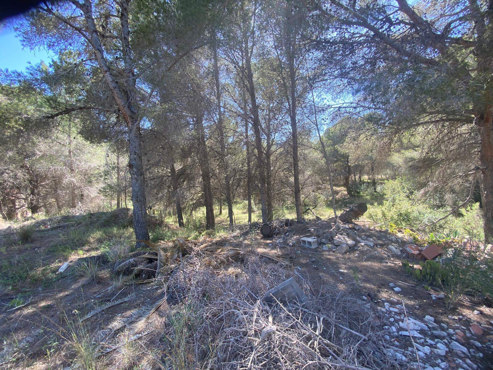 Parcela edificable única de 10.491 m² en Altea la Vella