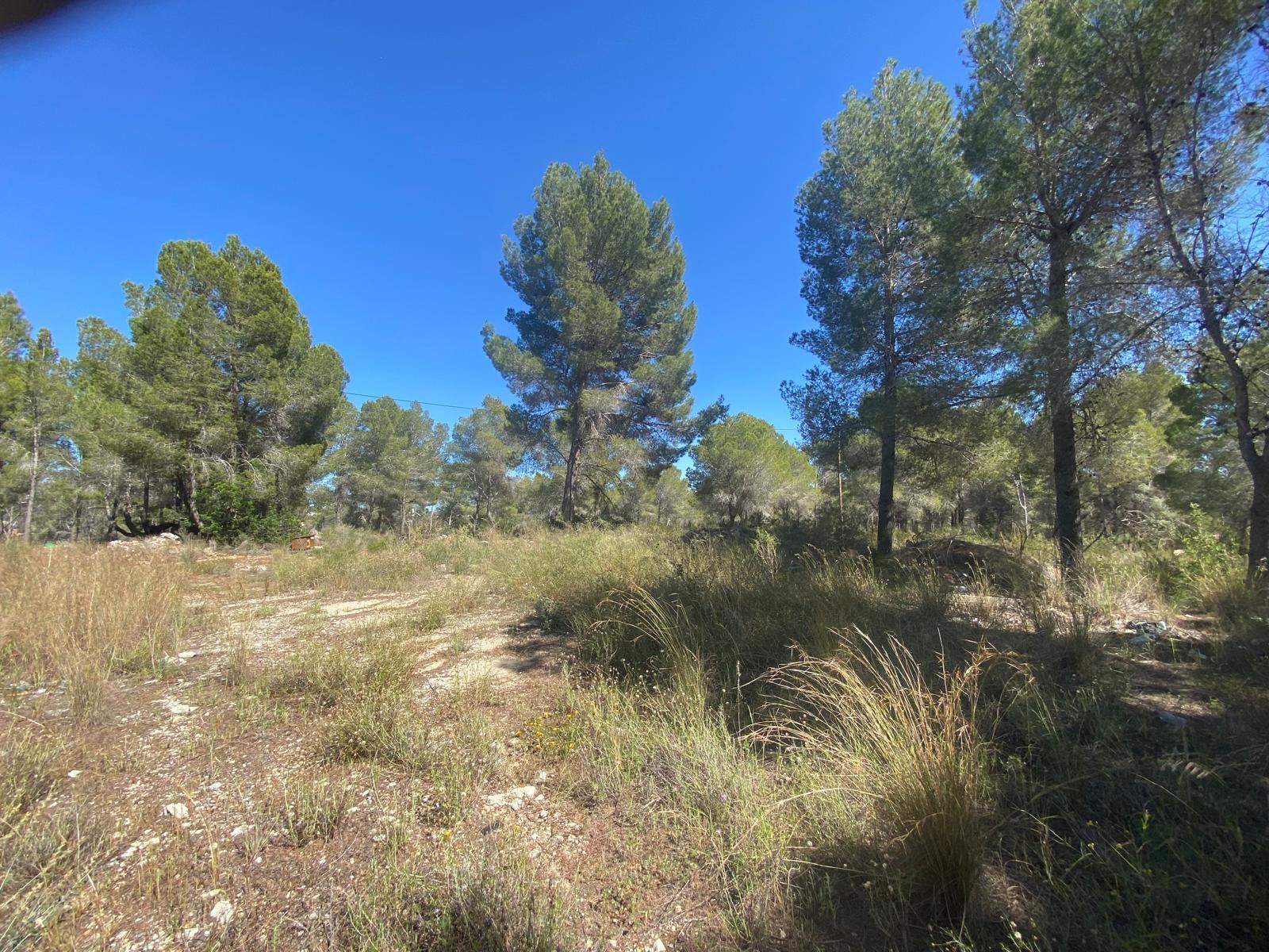 Parcela edificable única de 10.491 m² en Altea la Vella