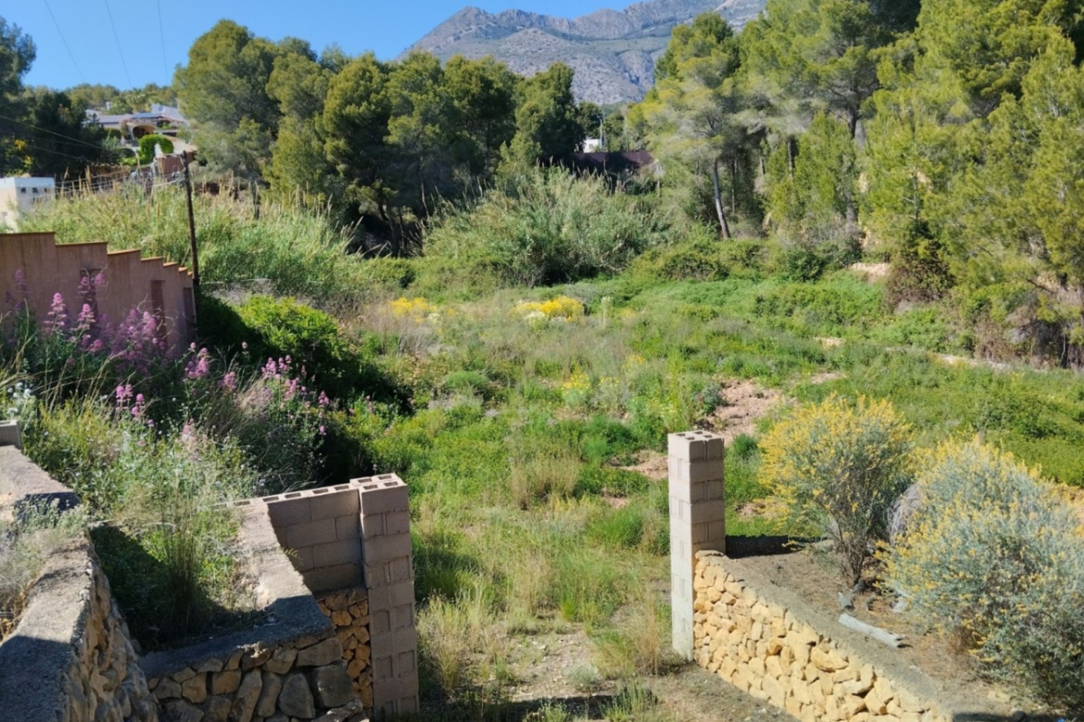 Finca reformada con 4 dormitorios en una gran parcela en Altea la Vella