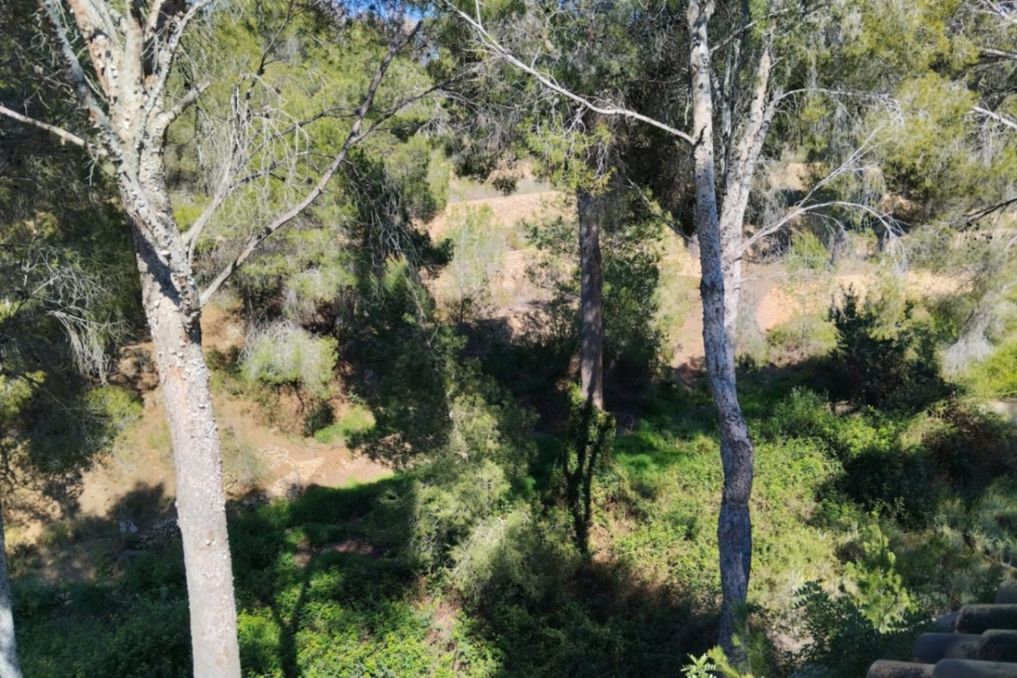 Finca reformada con 4 dormitorios en una gran parcela en Altea la Vella