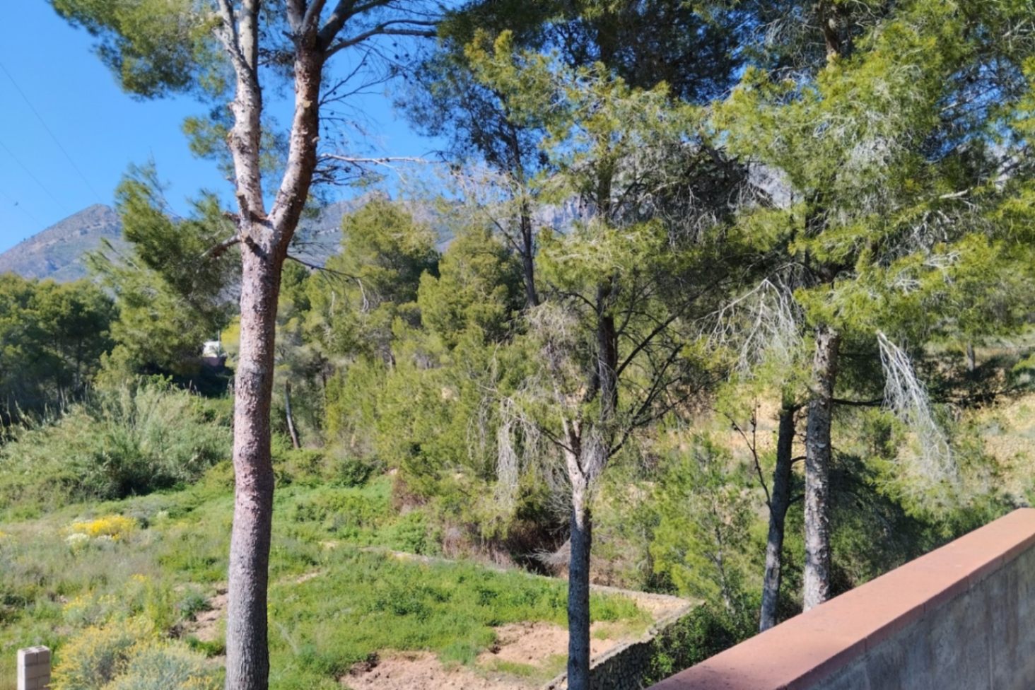 Finca reformada con 4 dormitorios en una gran parcela en Altea la Vella