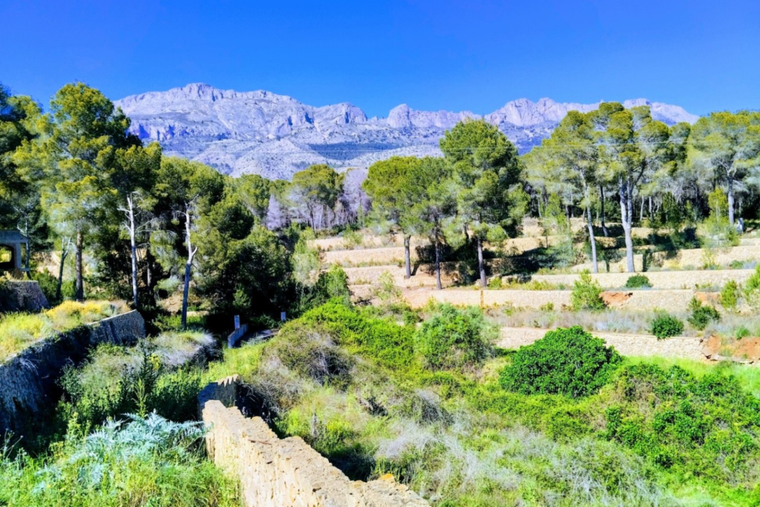 Finca reformada con 4 dormitorios en una gran parcela en Altea la Vella