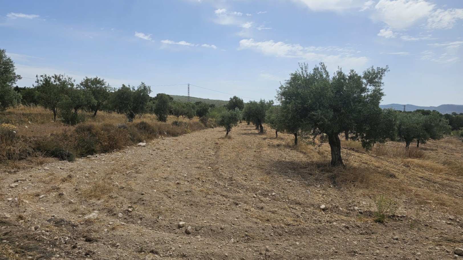 Parcela de 10.450M2 en Onil