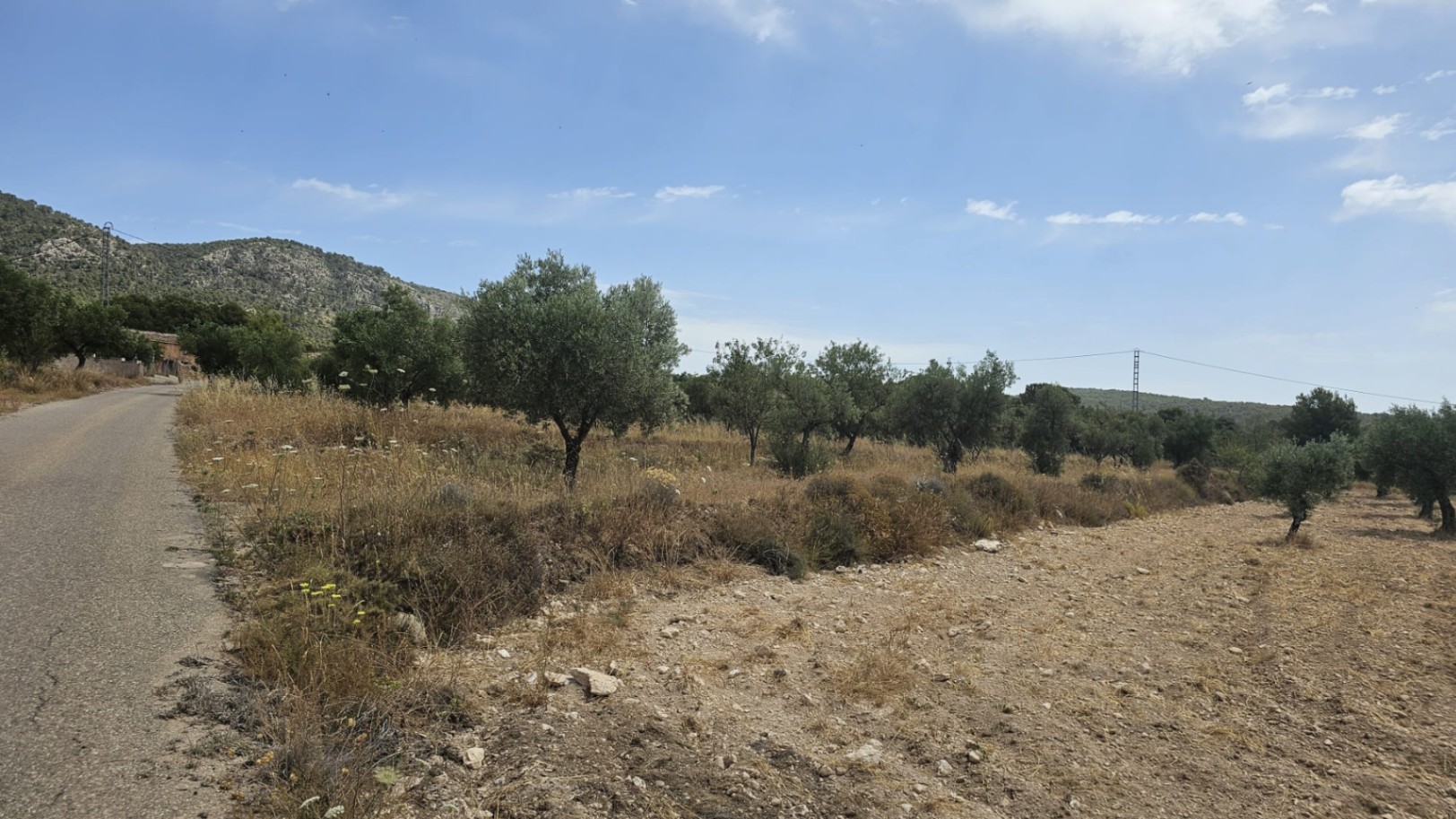 Parcela de 10.450M2 en Onil