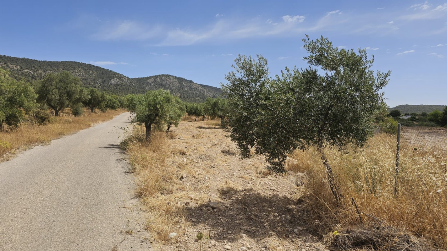 Parcela de 10.450M2 en Onil